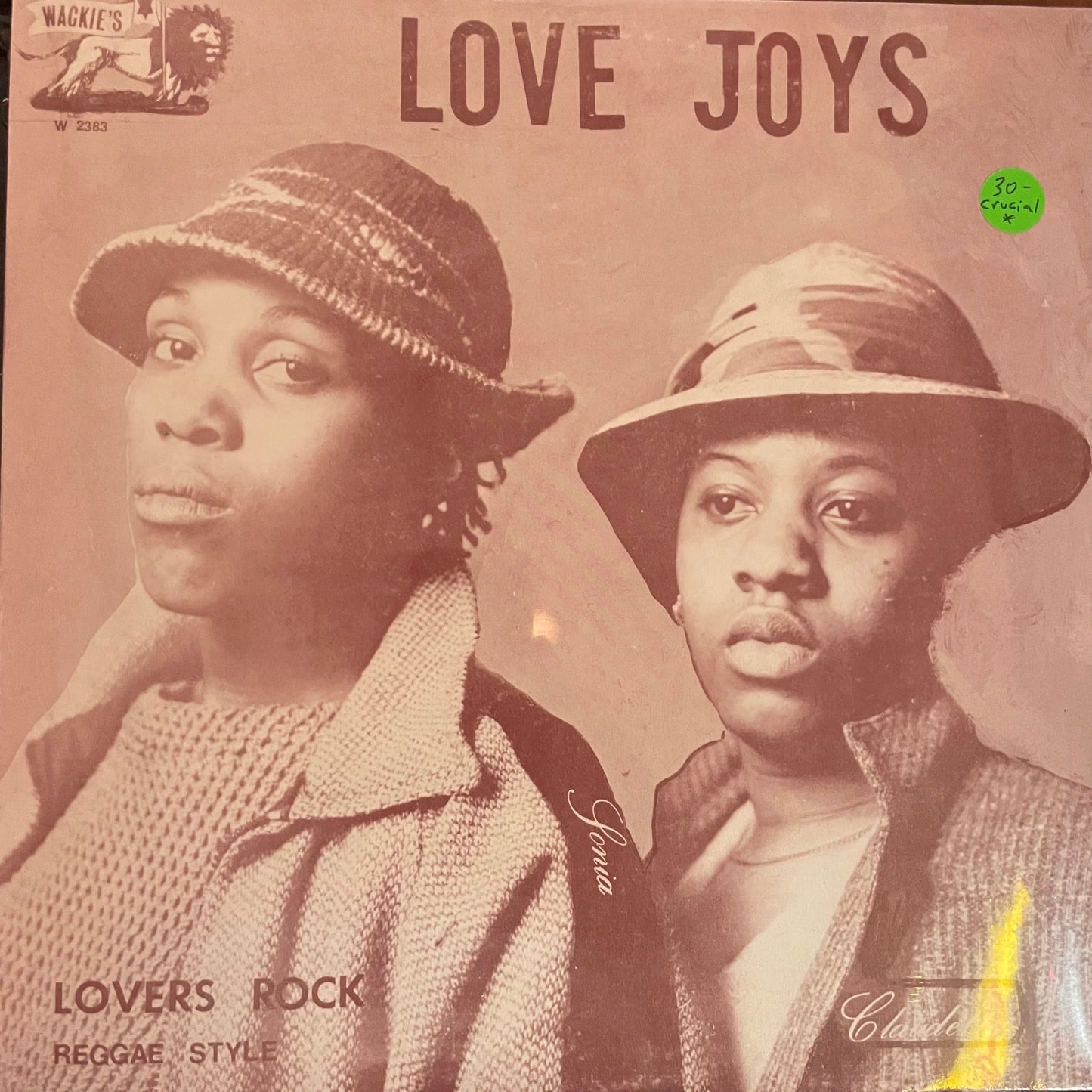 Love Joys – Lovers Rock Reggae Style