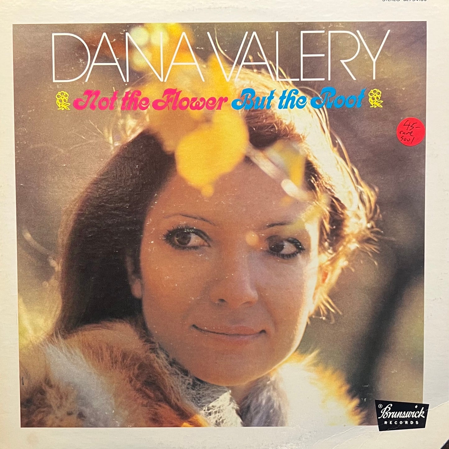 Dana Valery -- Not The Flower But The Root