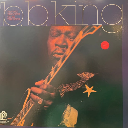 B.B. King - Paying The Cost To Be The Boss