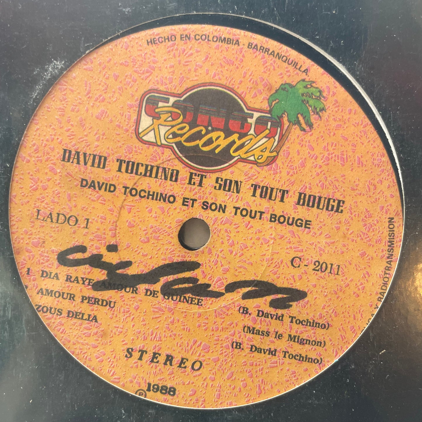 David Tochino Et Son Tout Bouge