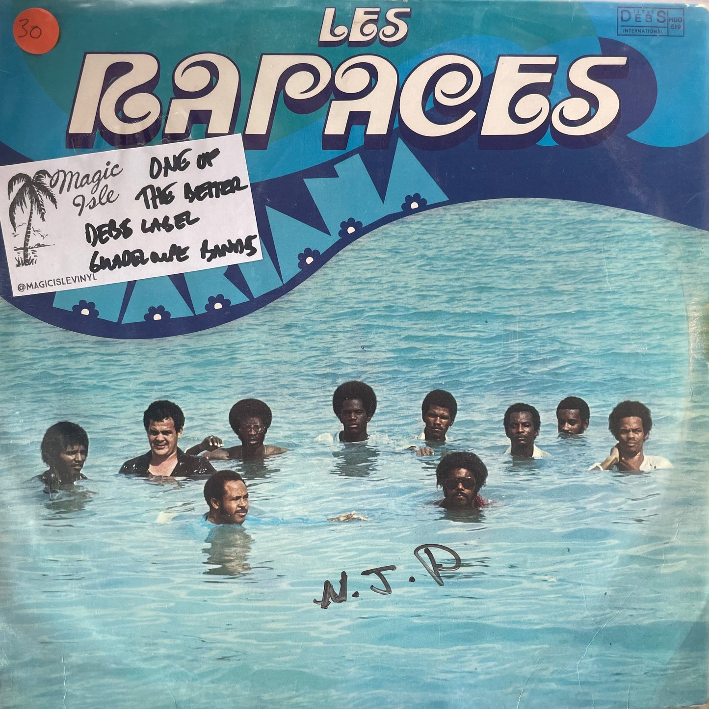 Les Rapaces