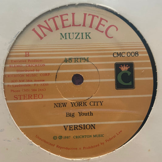 White Mice / Big Youth – I Don't Know / New York City