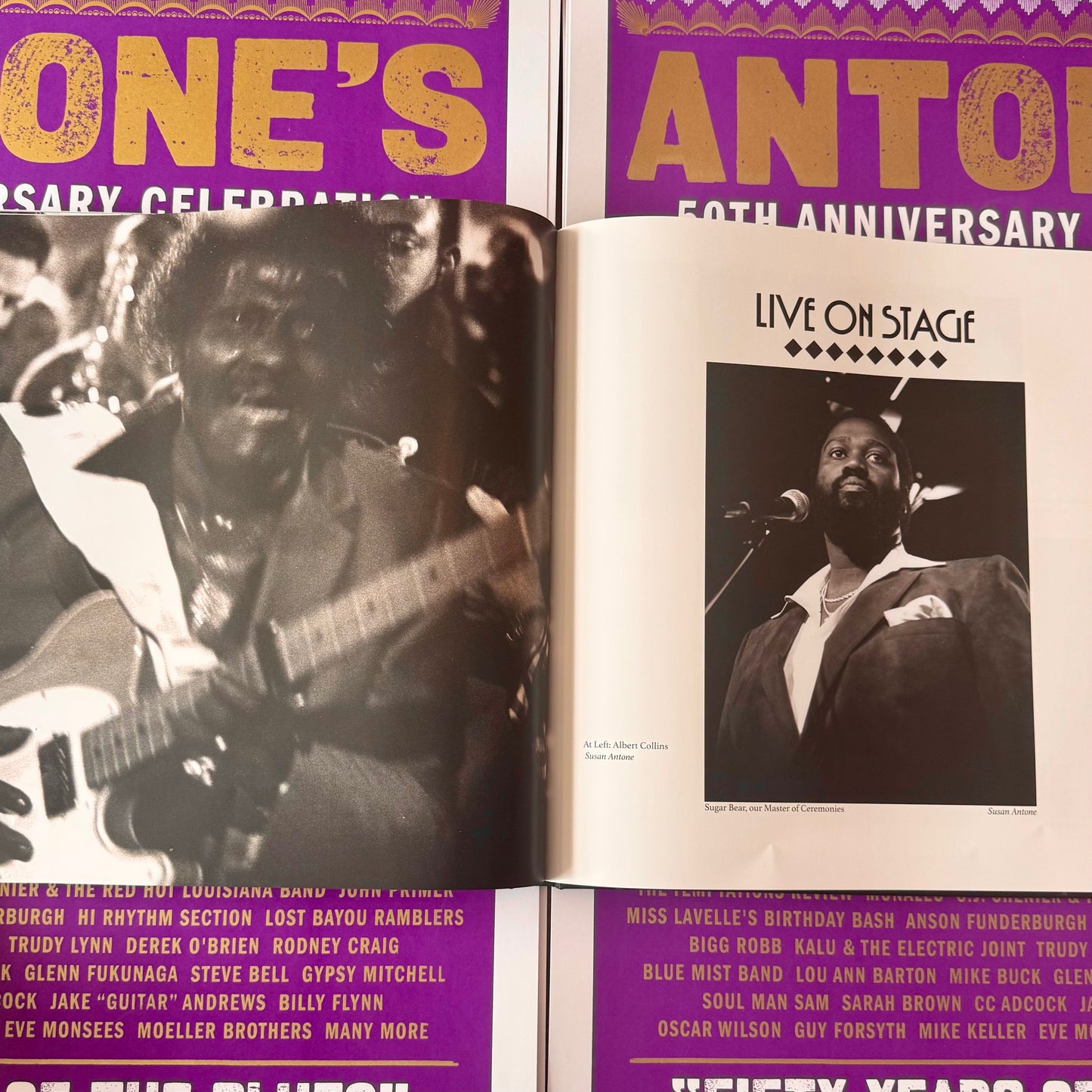 Picture The Blues by Susan Antone Photo Book