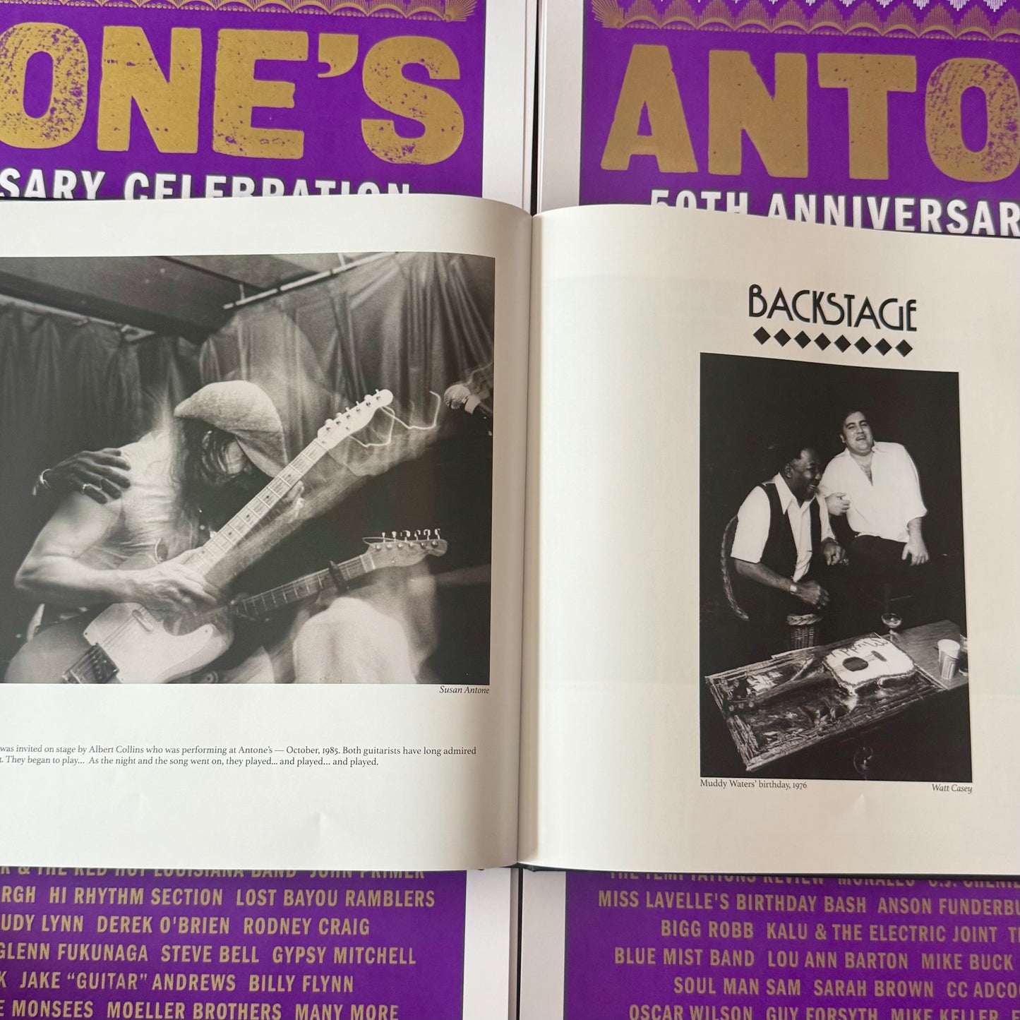 Picture The Blues by Susan Antone Photo Book