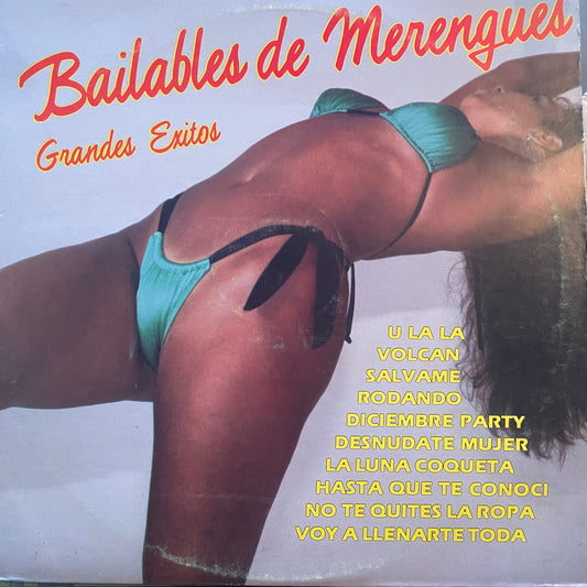 Santo Domingo All Star Band – Bailables de Merengues Grandes Exitos