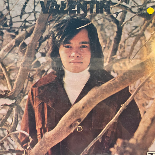 Luis Valentino - Valentin